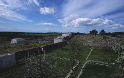 orti-MOnteSpecchia (8K)