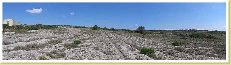 CarrarecceGaleasi
