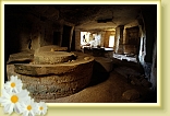 termiteto_trappeto_800