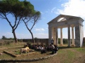 Fiume Borraco-Masseria Maviglia-Duna di Campomarino (8 ottobre 2006)