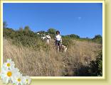 Cigliano0008