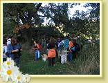 Cigliano0011