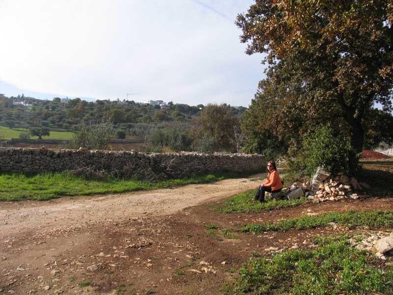 Locorotondo0047.jpg