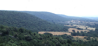 Tardomedieovo_Monti (17K)