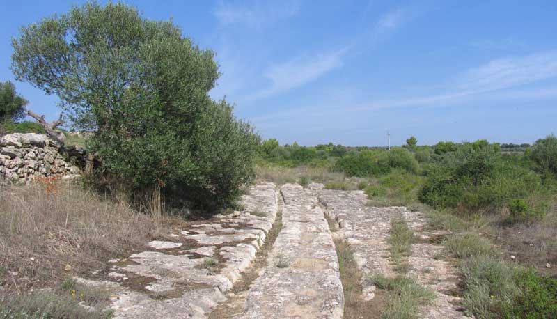 ViaperNoci (53K)