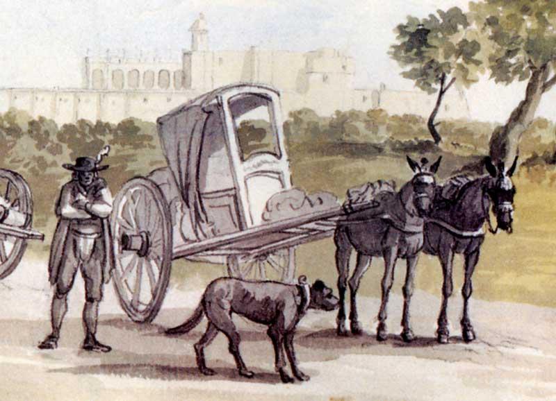 Carrozza.jpg