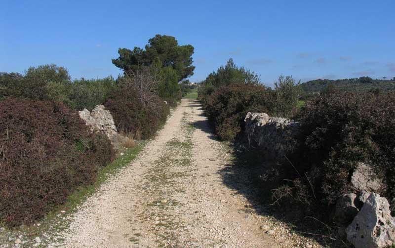 Mottola-strada.jpg - Tratturo in discesa da Mottola