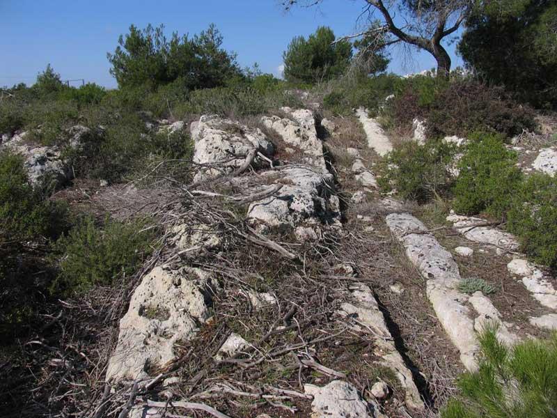 StradaMottola2.jpg - Carrarecce in discesa da Mottola