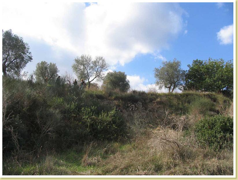 Cigliano0023
