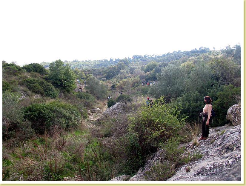 Cigliano0027