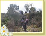 Cigliano0022