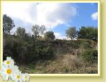 Cigliano0023